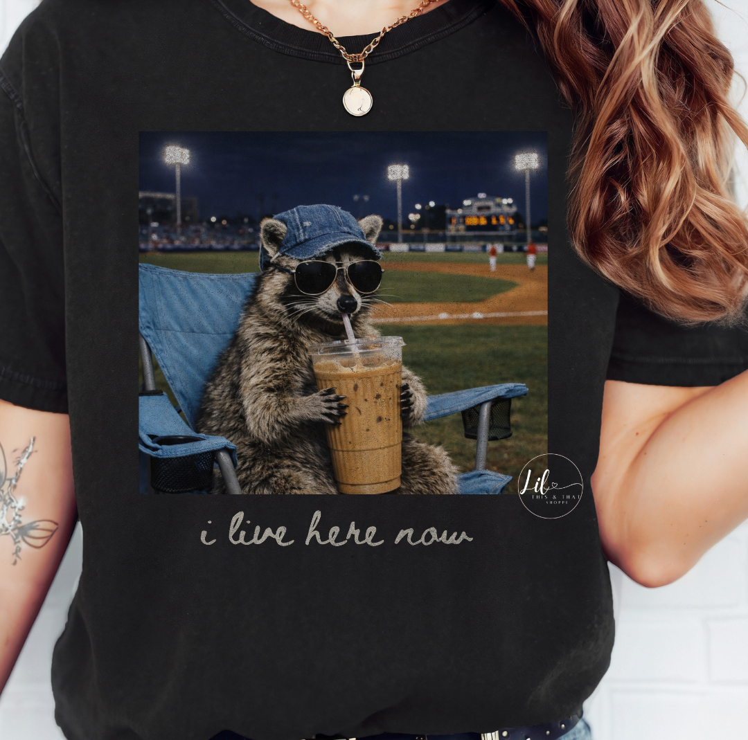 I Live Here Now - Baseball