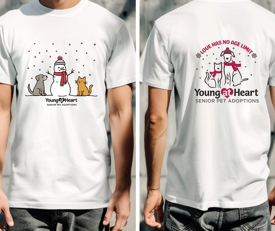 Young at Heart Snow Day