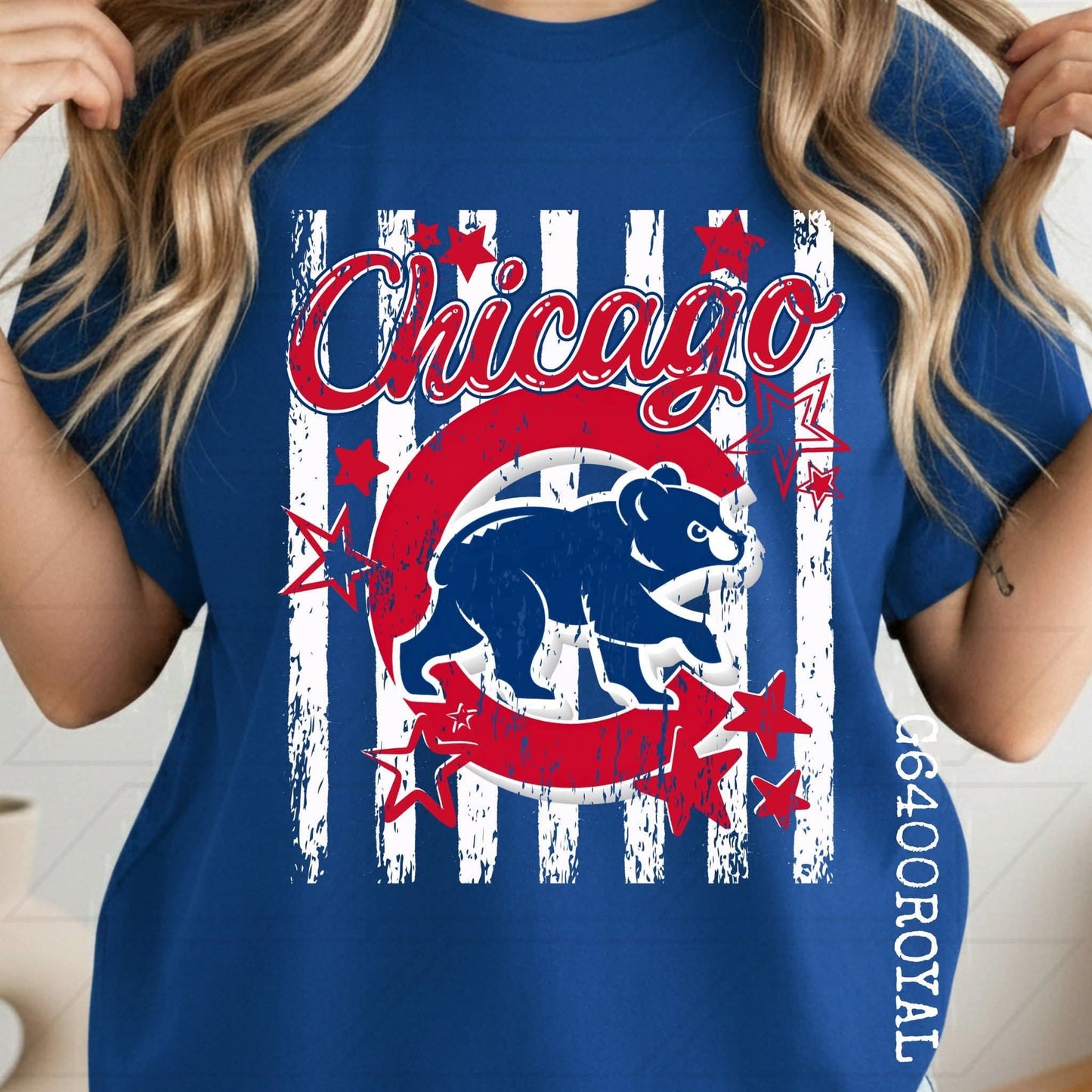 Chicago Baseball